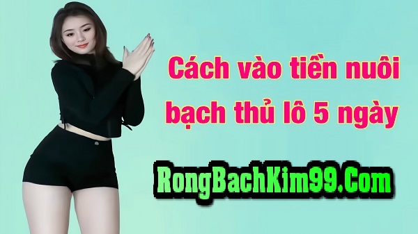 Cách vào tiền nuôi lô bạch thủ