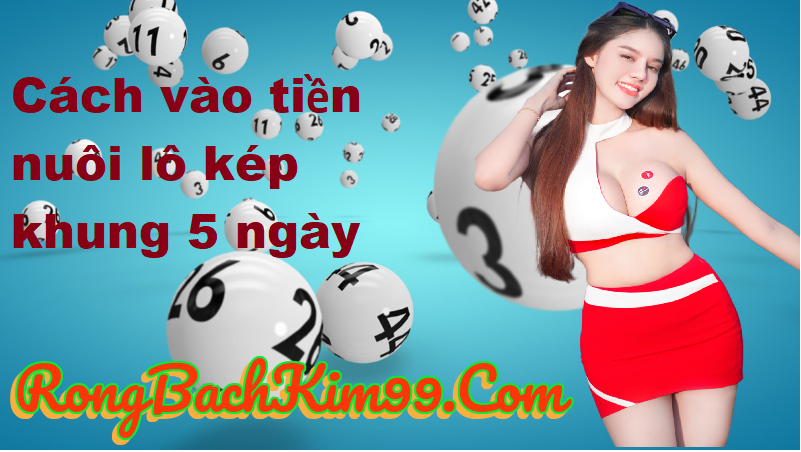 Cách vào tiền nuôi lô kép khung 5 ngày