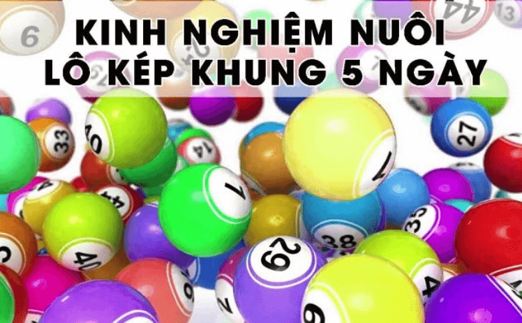 Phương pháp nuôi lô kép khung 5 ngày