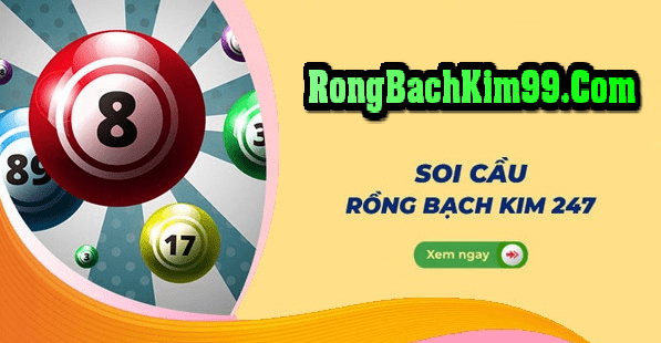 Rồng bạch kim 247