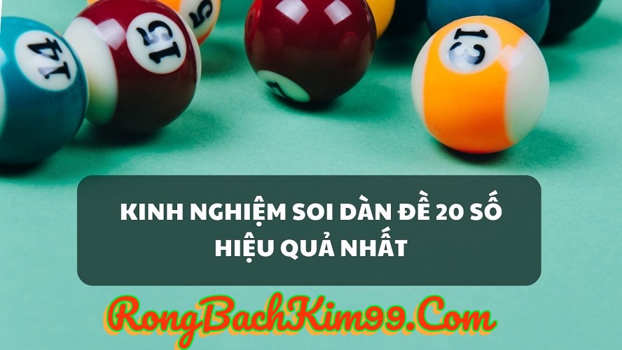 Ưu điểm và nhược điểm của dàn 20 số nuôi 5 ngày