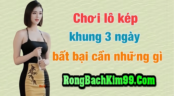 cách chơi lô kép khung 3 ngày 247 bất bại