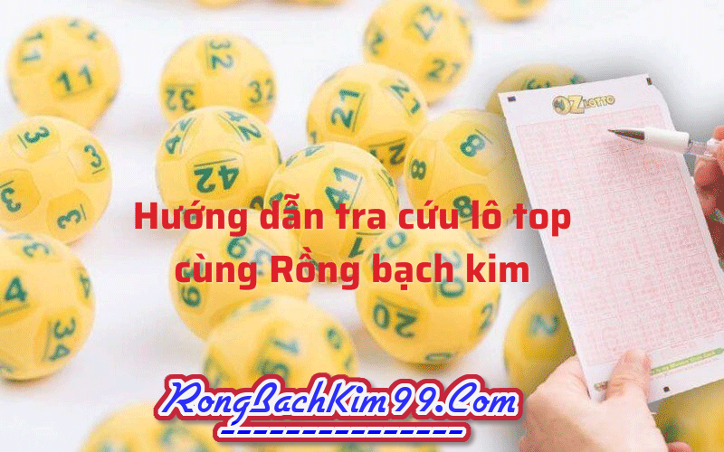 Cách tra cứu lô tôp