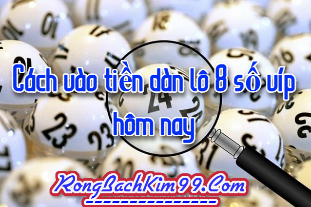 Cách vào tiền dàn lô 8 số víp hôm nay