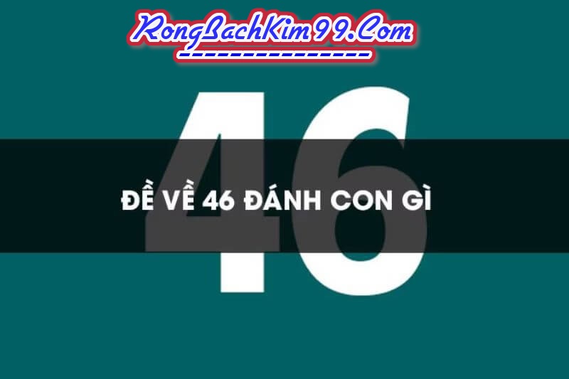 Đề ngày hôm nay về 46 có nghĩa là như thế nào