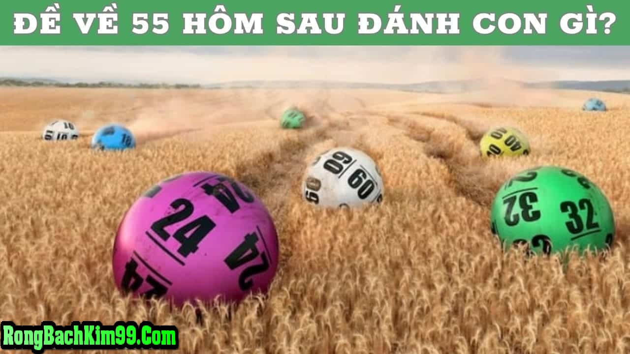 Đề ngày hôm nay về 55 có nghĩa Gì