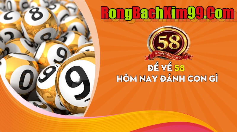 Đề ngày hôm nay về 58 có nghĩa gì