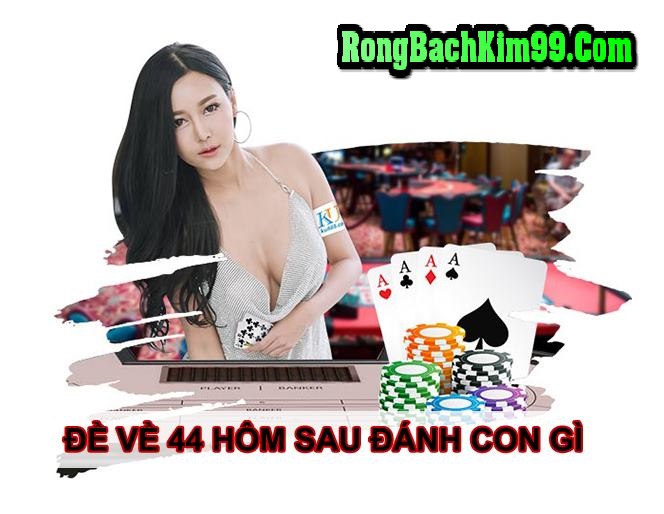 Đề về 44 có nghĩa là như thế nào