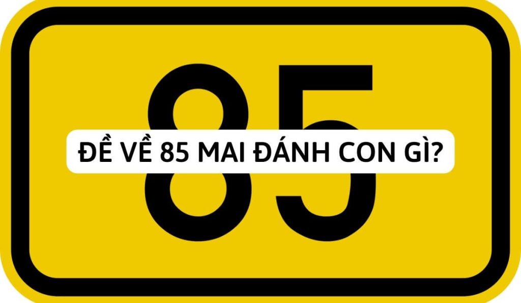 Đề về 85 Sử dụng bóng âm, dương hôm