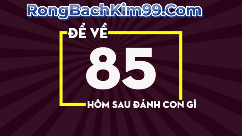 Đề về 85 hôm sau đánh con gì