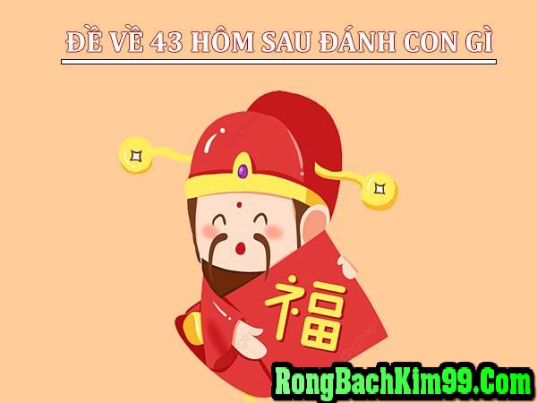 Mơ đề 43 thì cần đánh con số nào