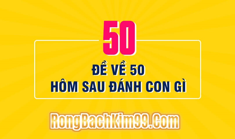 Phân tích ý nghĩa con số 50 chính xác 