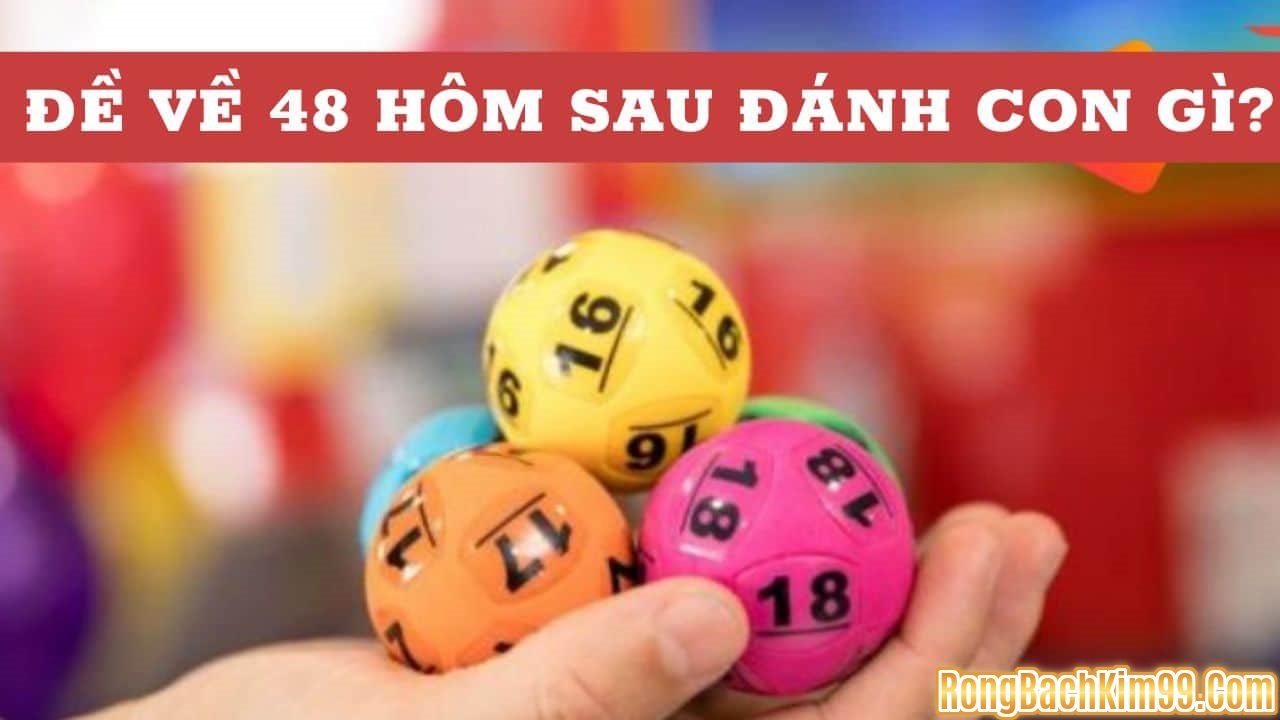 Đề về 48 hôm sau đánh con gì