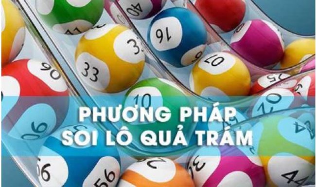 soi lô hình quả trám cực chuẩn