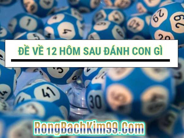 Đề về 12 hôm sau đánh con gì thì chuẩn