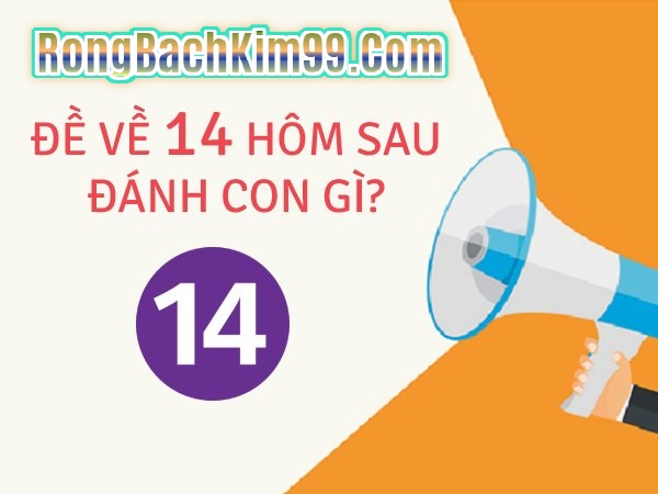 Đề về 14 hôm sau đánh con gì chính xác nhất