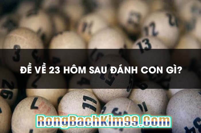 Khi mơ về số đề 23 thì cần đánh con số nào