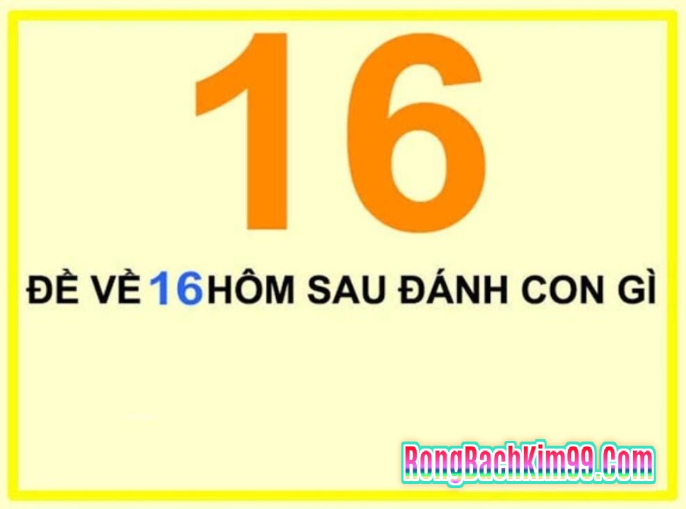 Mơ về số đề 16 thì cần đánh con số nào