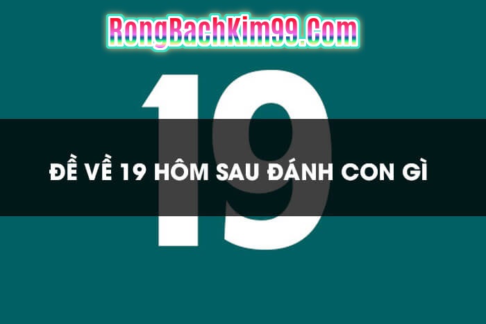 Ý nghĩa số 19 là gì