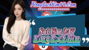 Rồng bạch kim 247